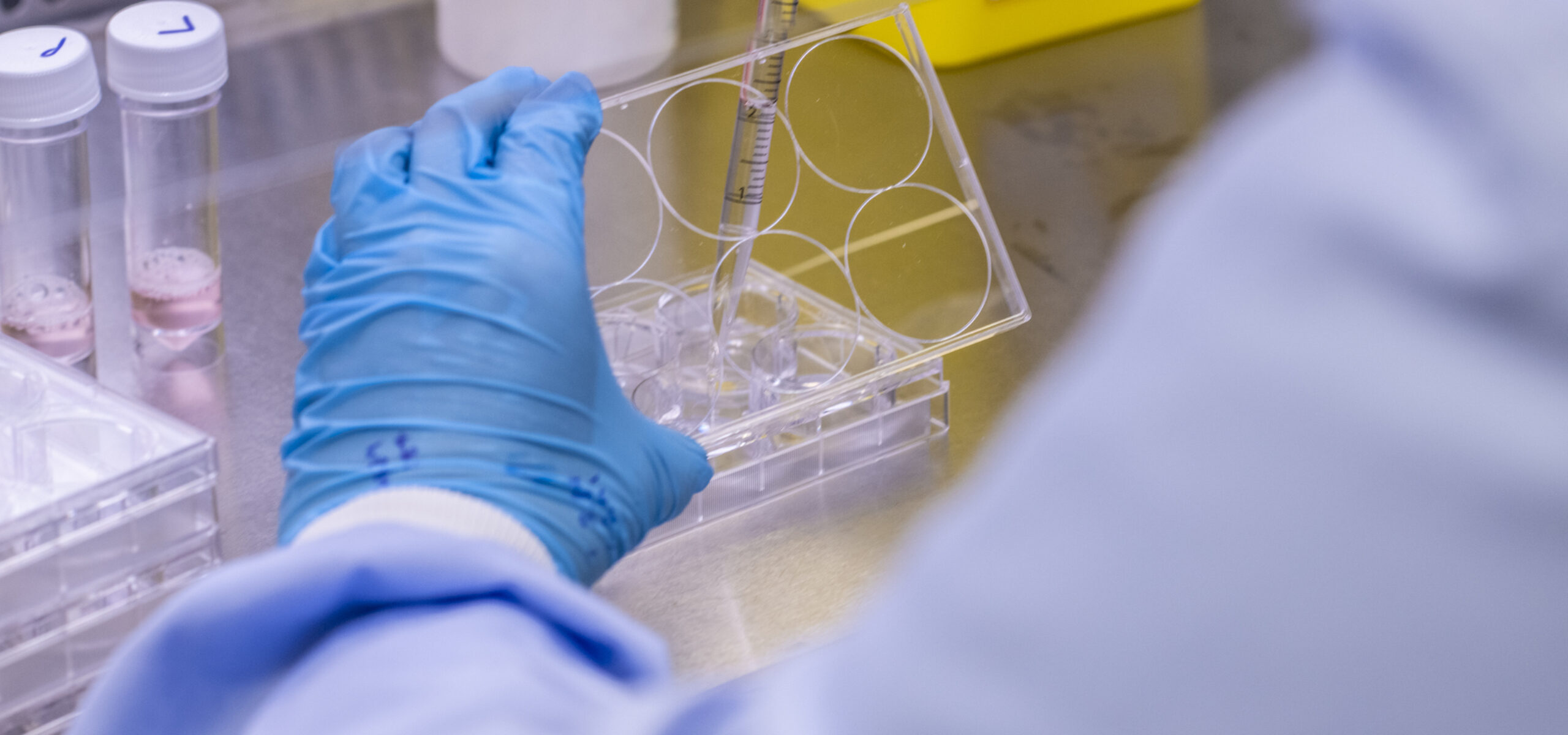 Scientist loading plates in a tissue culture room