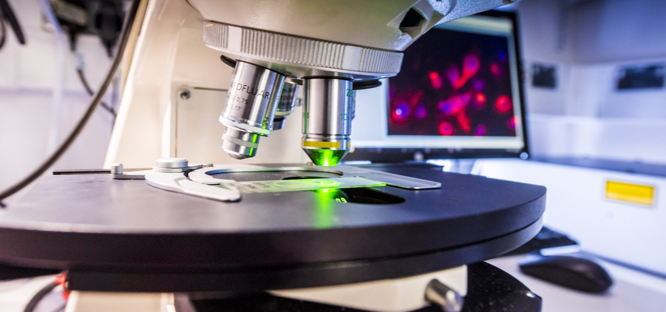 Microscope in the imaging and analysis room in the OCRB